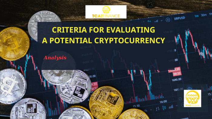 Evaluating Crypto as an Investment Option