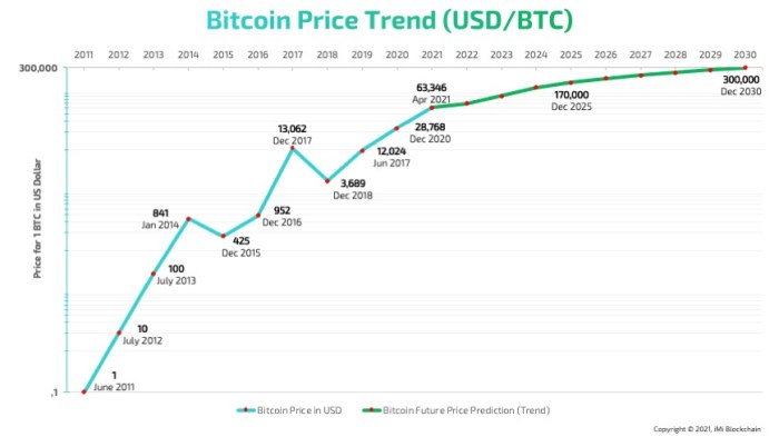 Bitcoin Price Prediction for This Year