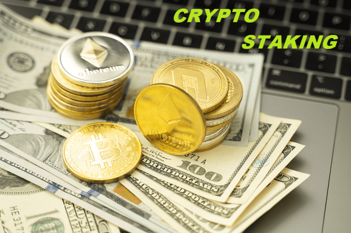 Understanding Staking in the Crypto World