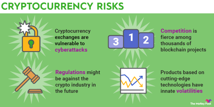 Crypto currencies investments risks major halt risk control